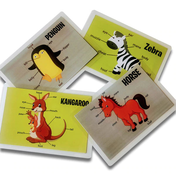 Animal Body Parts Flashcards | Pack of 10 - Well Researched Affordable  Products for Kids & Mom | MyBlueShelf